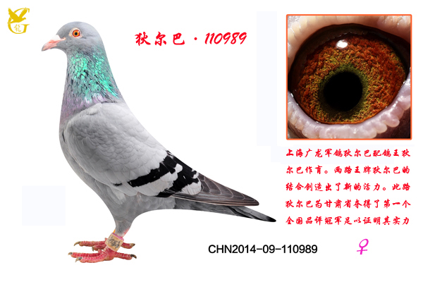 Ҷ͡110989