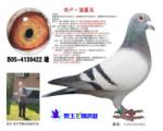 ¬ٰ03KBDBھ907