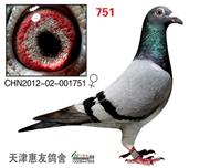 ʿ1751