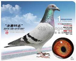 ֹͬ񽱸66