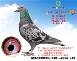 ë6ھͬʱ
