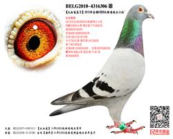 衿ֱӣKBDB6λ