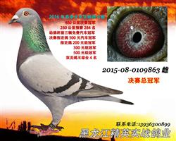 2016괺˳¹ܹھ