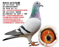Ǳ13KBDBȫǾֱŮ