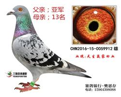 ӮһѪ