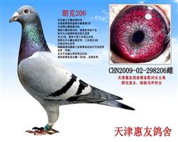 ʿ206