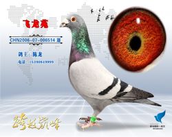 蹫Ǿ