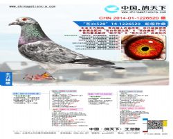 CHN2014-01-1226520 