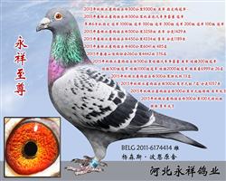 12ھ֮ס