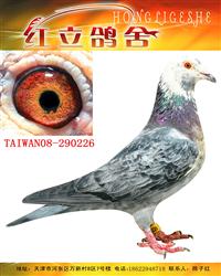 ̨峤羺輯šıԭ