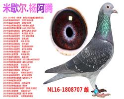 ڡǲỢ-׺ᡷ