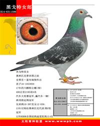 ڸŮ