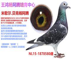 ڣ챩ͷ- 