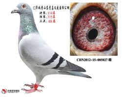 ظ48λ