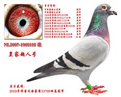 ʼҳ˺š