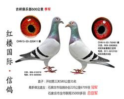 KBDB