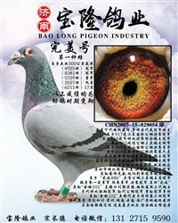š