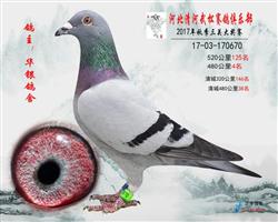 174804
