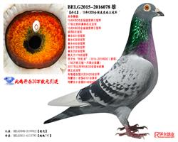 ᡿:15KBDBȫٶȸھ
