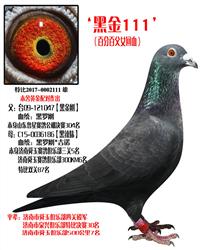 ޸ոŮᴿ