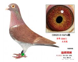 ԶĽŻ˾Ʒָ2