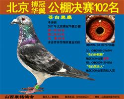 ڻ102