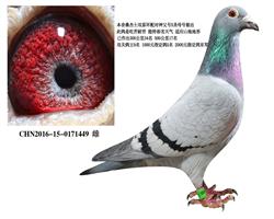 ɣʿĸ