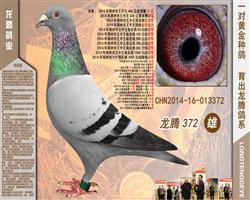 372