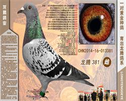 381