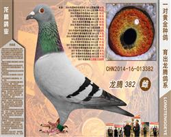 382