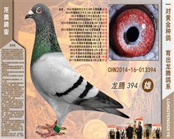 394