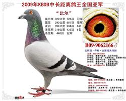 2009KBDBгȫǾ