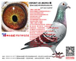 ղķʿӵ¡KBDB4λֱӡֱŮ