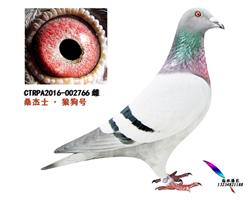 ̨ɣʿǹֱŮ