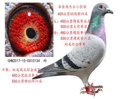 ɣʿִ