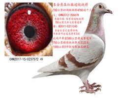 ھ
