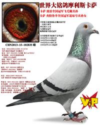 Ȼ