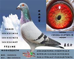 Ѫ