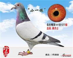 Сһݡ