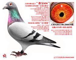̸634