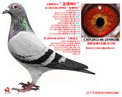 СŷŮ002