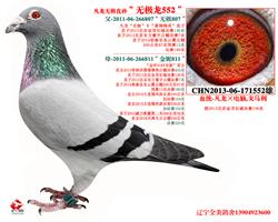 ޘO