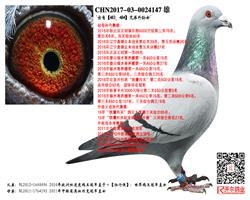 ԡ483484ֵŮ