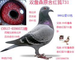 ղɭ˴ָ֮һ731Ů