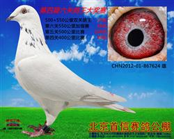 ԰624 24