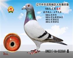 ھ