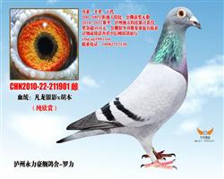 Ӱ901