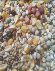 ӪA