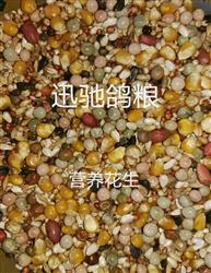 Ӫ