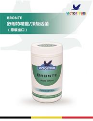 ؾ/Bronte ԭbMڣ
